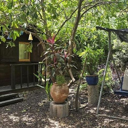 Vila נופש דביר - סוויטות מהממות ובקתה כפרית עם ג'קוזי ליד הכנרת - יש מקלט צמוד Migdal Exteriér fotografie