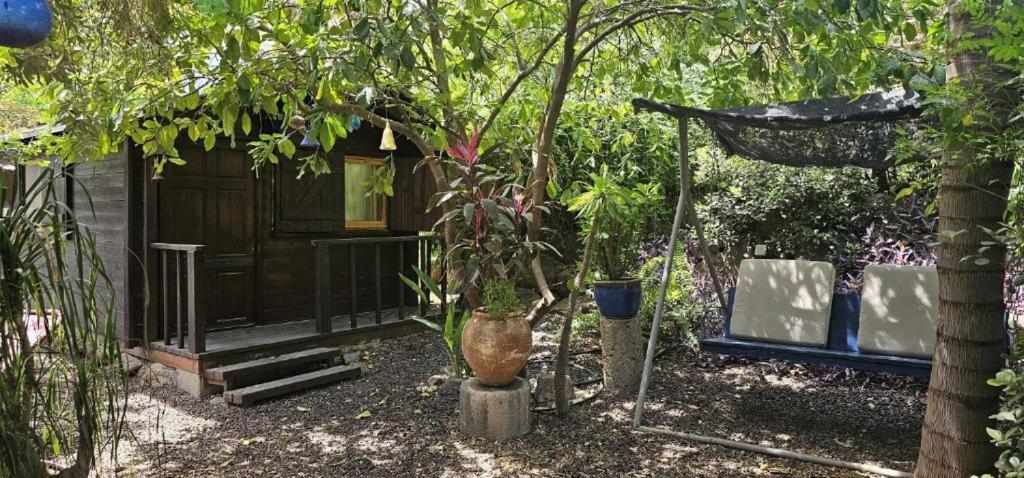 Vila נופש דביר - סוויטות מהממות ובקתה כפרית עם ג'קוזי ליד הכנרת - יש מקלט צמוד Migdal Exteriér fotografie